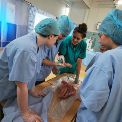 Offers from world-leading universities for Truro High’s Aspiring Medics